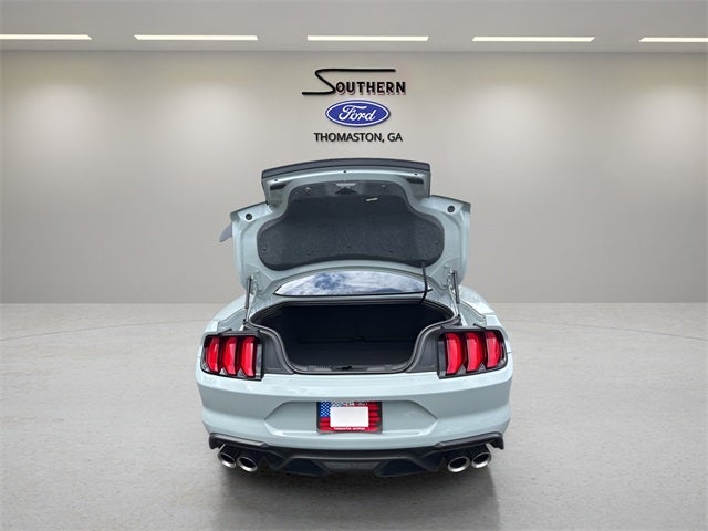 2021 Ford Mustang Mach 1