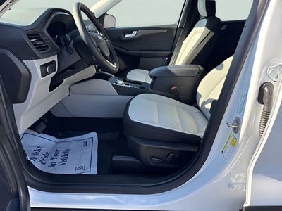 2026 Ford Escape Active